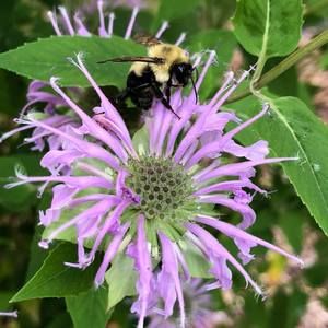 Meet your Posher, Jean